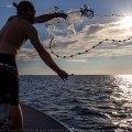 cast net throwing