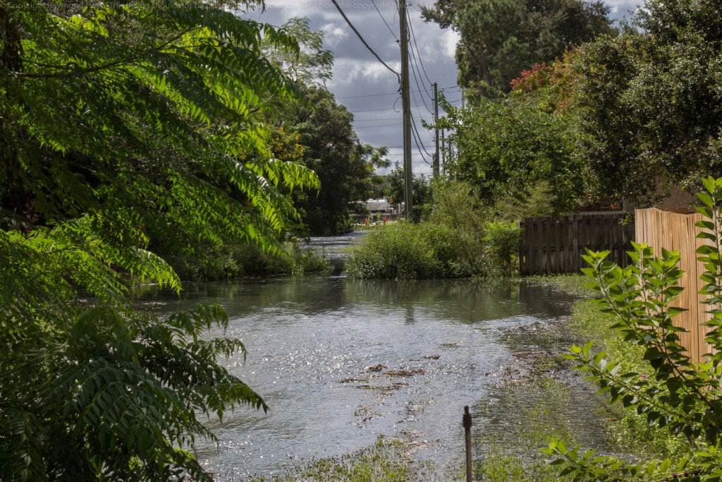 Alderman main break