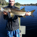 Winter Slot, In Season Snook