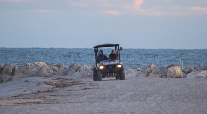 Dawn Patrolling Sand Key Park Gallery