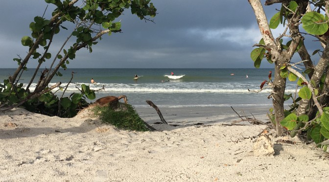 Surf’s Up Surf Report: Harvey Groundswell in West Florida