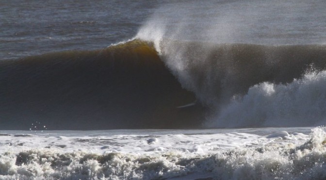 Shark Attack in Jacksonville, Florida Yesterday While Surfing Hurricane Maria