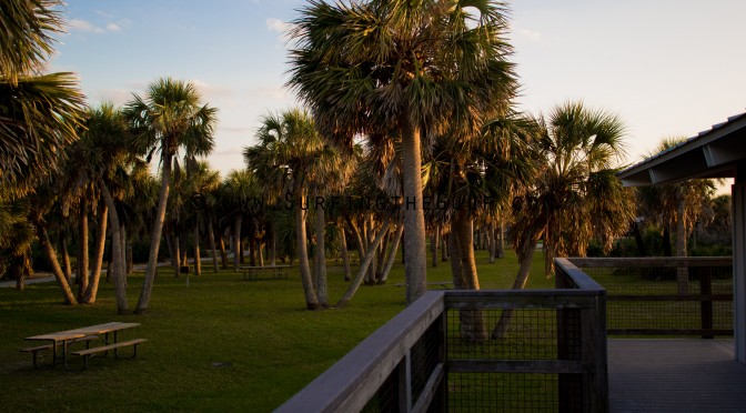 A Boat Ride to Caladesi Island