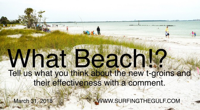 T-Grouns in Pinellas County: Join the conversation!