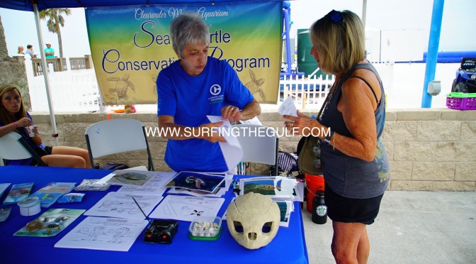 Sea Turtle Awareness Day at Pier 60