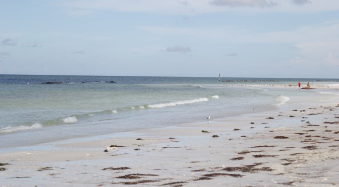 A Nasty Rumor About Honeymoon Island State Park Beaches