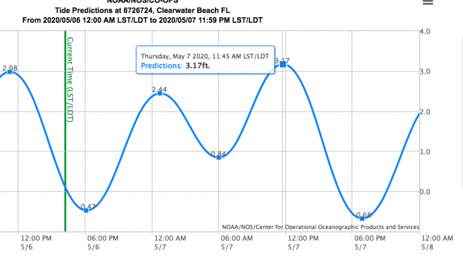 Surf Forecast: 5/06/2020-5/11/2020