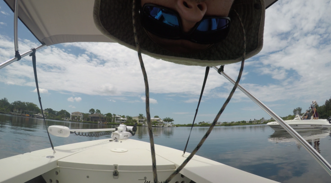 A Day on The Water in June 2020