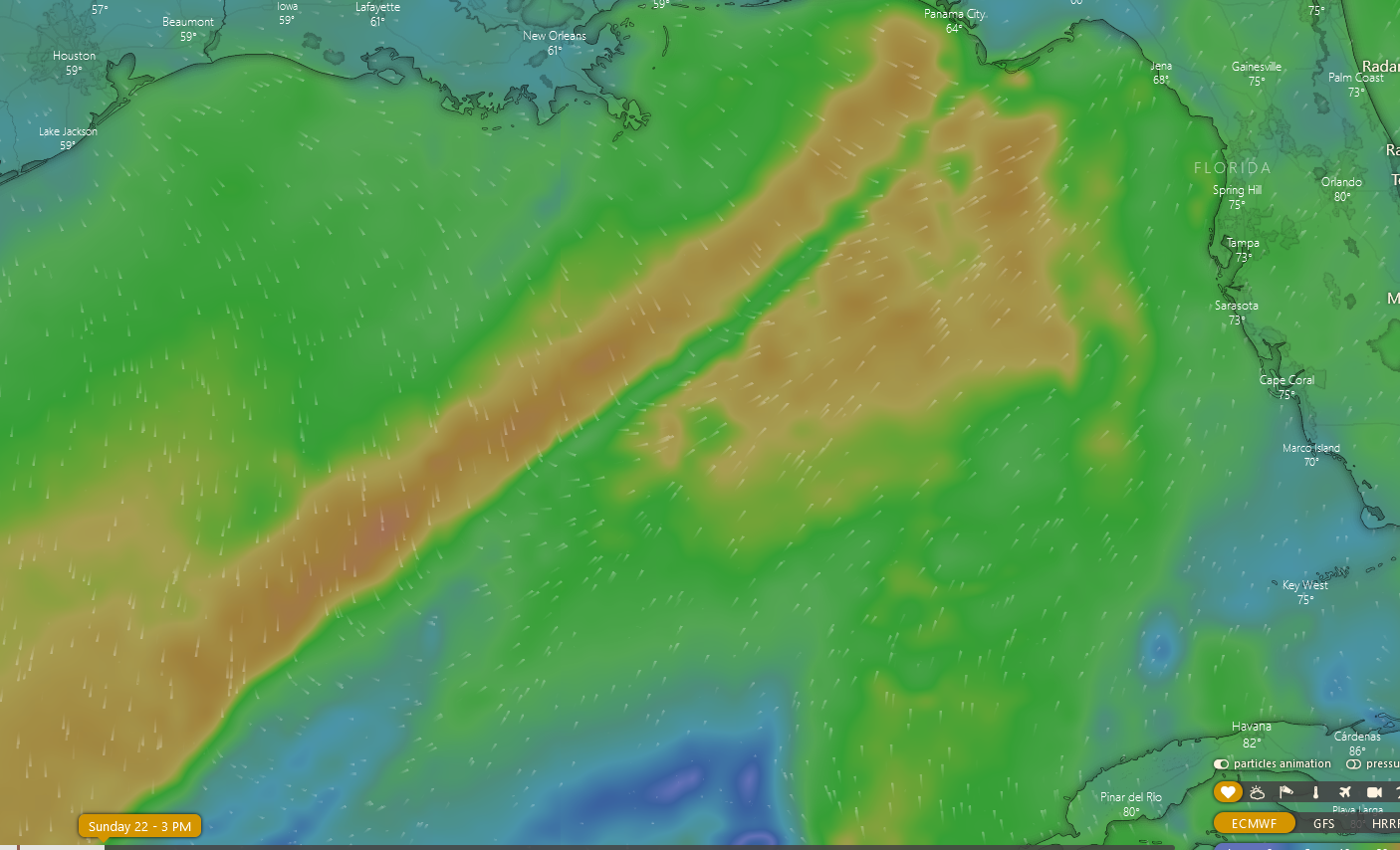 1.21.23 forecast 1