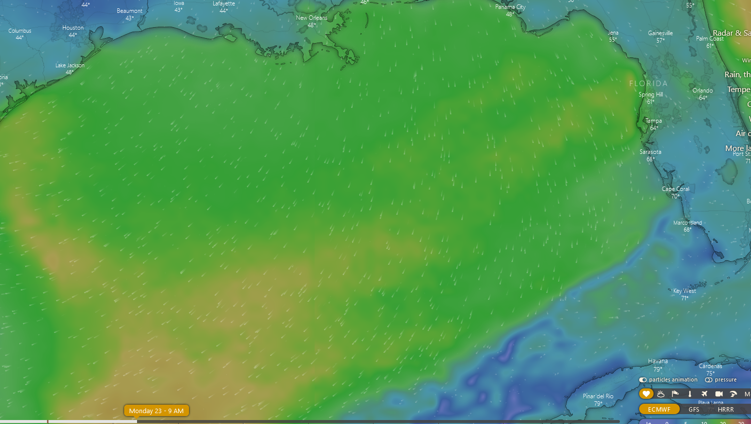 1.21.23 forecast 4