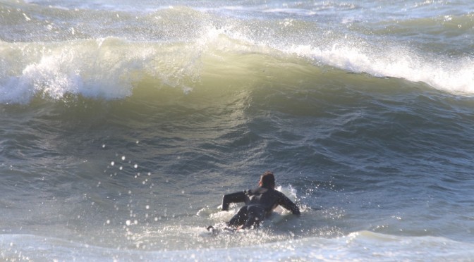 Clearwater Beach Surfing Gallery 1/26/23