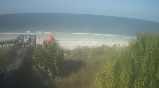 Honeymoon Island Webcam