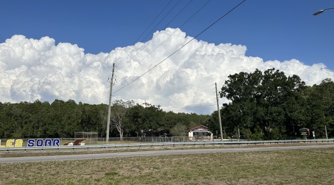 Sweet Storm Cloud