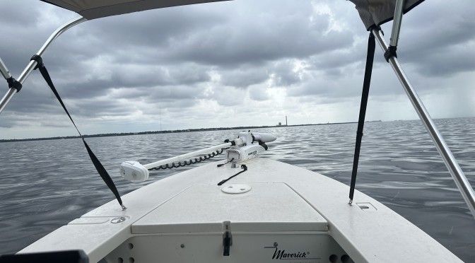 Scalloping In Pasco County