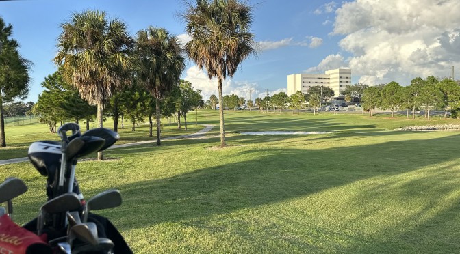 Tarpon Municipal Has a Family of Resident Bald Eagles