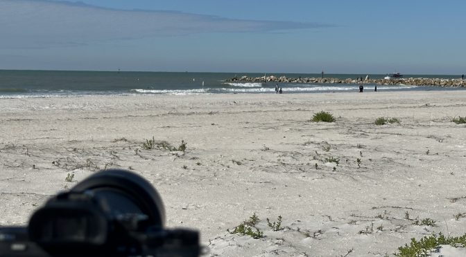 Report 1/12/25: More Waves