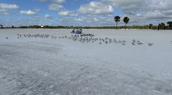 New Sandbar Thurs, 2/20