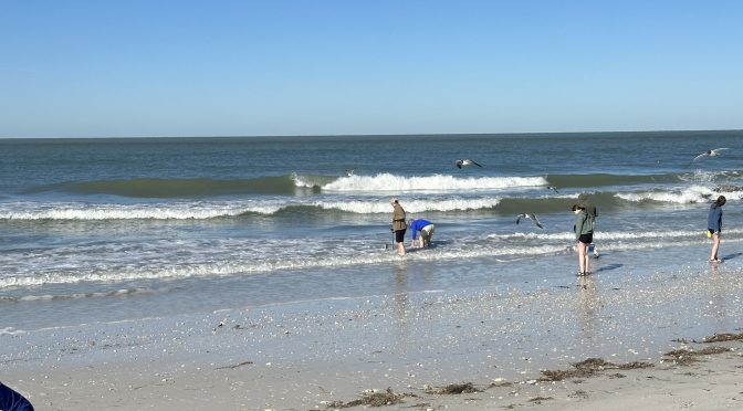Surfing Post Dredge Noon – Vid by Yana
