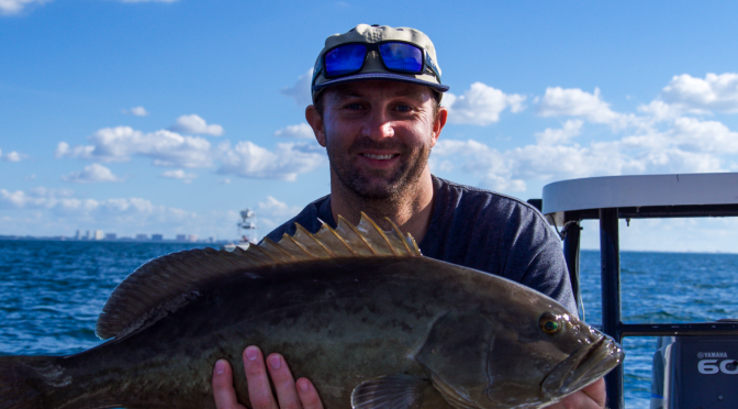 Grouper Sandwiches at Clearwater Reef