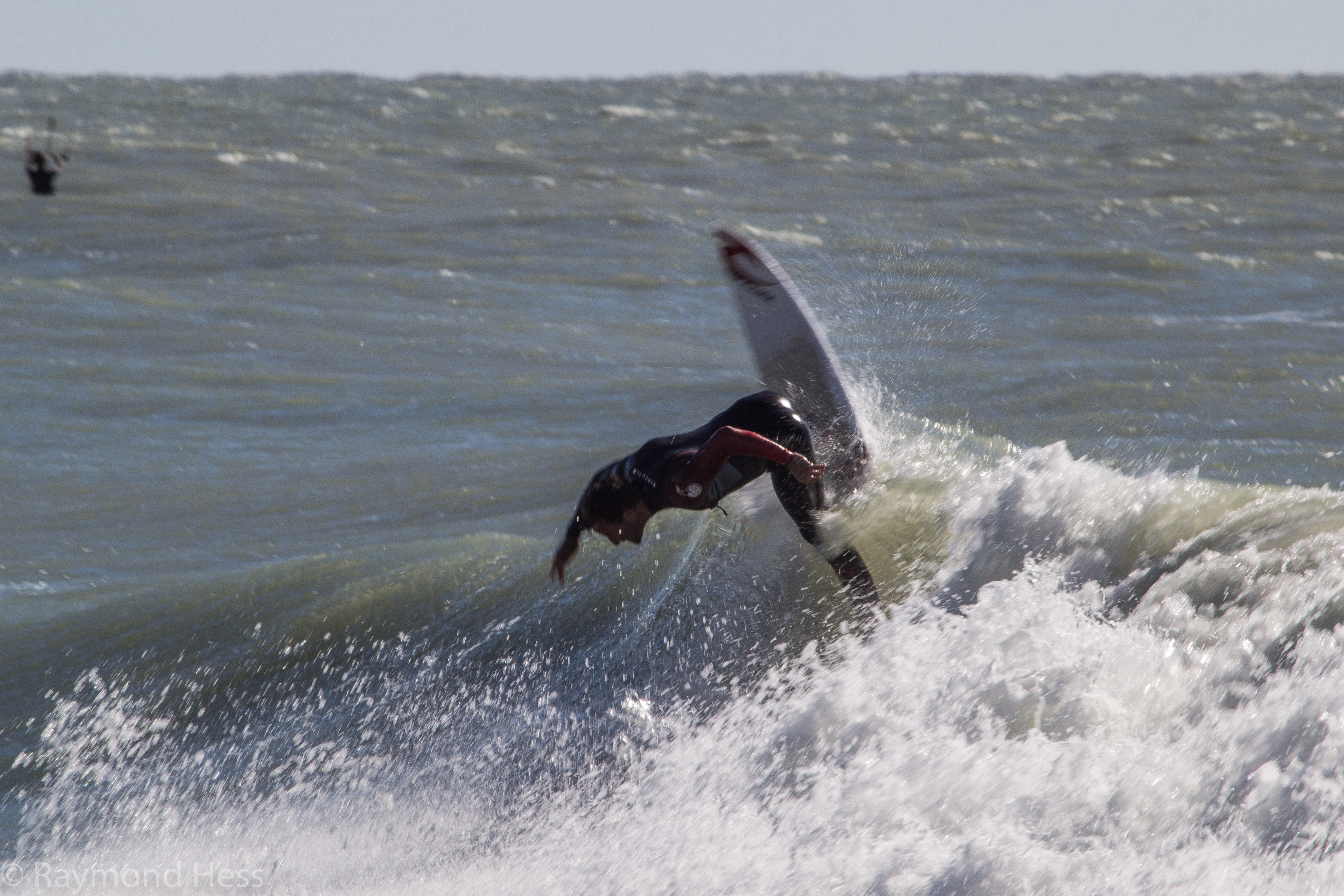 shred company venice florida shred company venice florida
