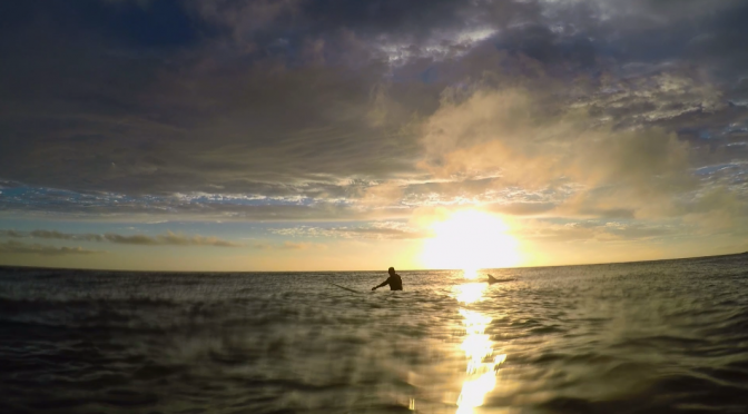 Surfing with Dolphins at Honeymoon Island