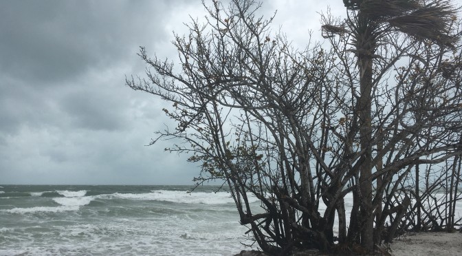 Surf’s Up Surf Report: Noon, Wed, May 24, 2017