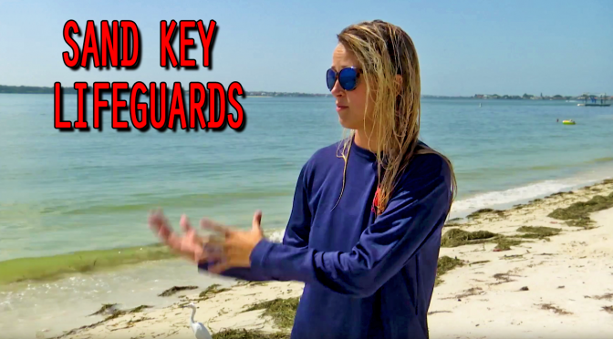Sand Key Lifeguards