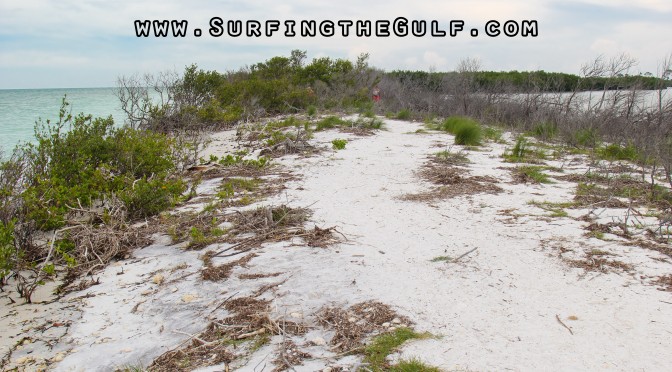 Honeymoon Island State Park is About to Become Two Islands!