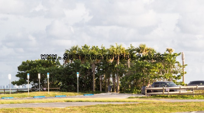 Honeymoon Island Beach Renourishment: He wants more, don’t give it to him!