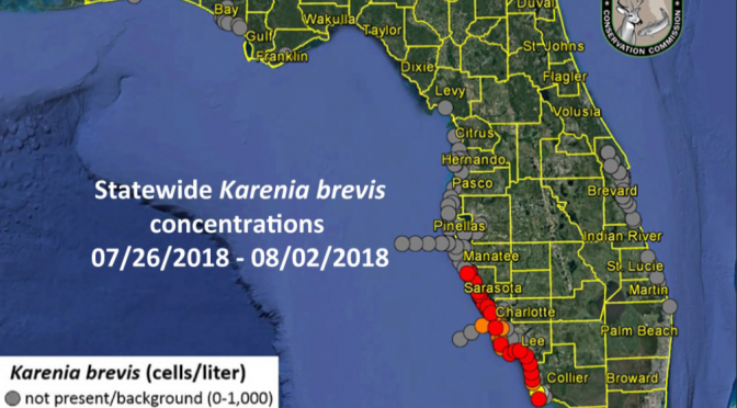 Red Tide is Engulfing West Florida