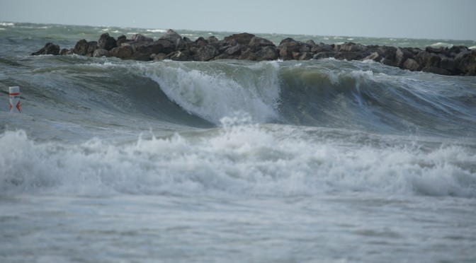 The Rancid Smell of Death at Sand Key