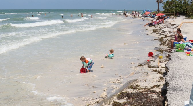 Surf’s Up Surf Report: Thurs, June 20, 1pm & Massive 5pm Gallery